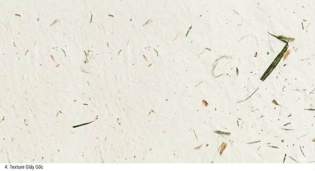Texture Giấy Gốc